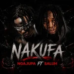Image of Ngajupa song Nakufa Ft Saluh