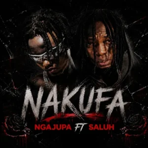 Image of Ngajupa song Nakufa Ft Saluh